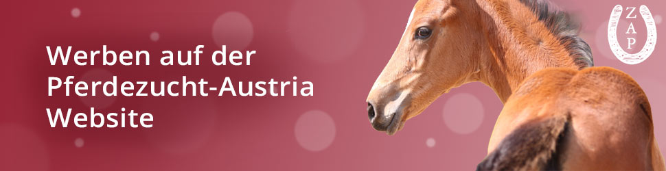 Werben auf der Pferdezucht-Austria Website.
