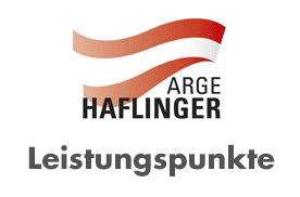 Leistungspunke Haflinger