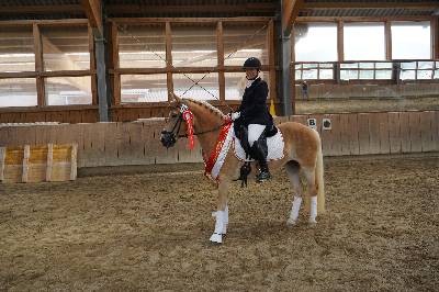 Thalita B.: Hans Irausek: Siegerin dreijhrige Haflingerreitpferde (Foto: Bettina Wimmer)